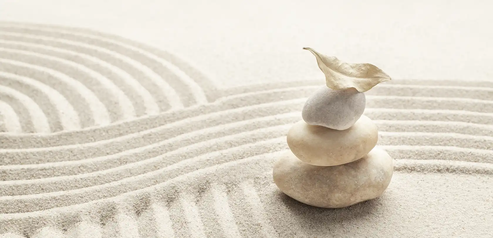 sacred vitality bg hero